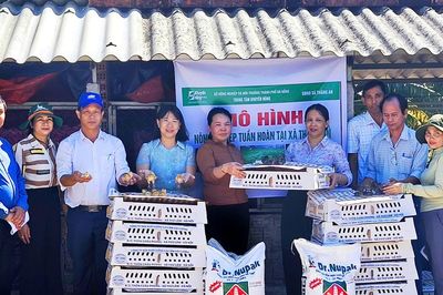 Hỗ trợ 1.500 con gà giống thực hiện mô hình nông nghiệp tuần hoàn tại xã Thăng An