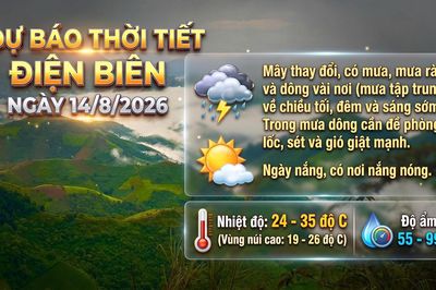 Bản tin Dự báo thời tiết ngày 14/8/2026