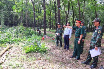 Sẵn sàng huấn luyện giai đoạn 2