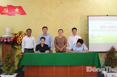 Phường Mỹ Trà: Hội thảo liên kết tiêu thụ lúa chất lượng cao, phát thải thấp
