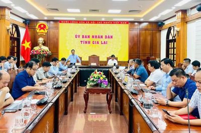 UBND tỉnh Gia Lai làm việc với chủ đầu tư các khu, cụm công nghiệp về thu hút nhà đầu tư thứ cấp