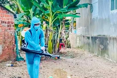 Gia Lai triển khai chiến dịch cao điểm phòng, chống sốt xuất huyết