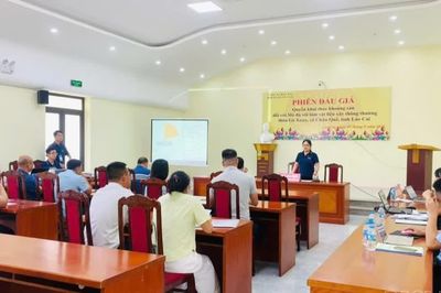 Lào Cai: 11/19 mỏ trúng đấu giá khoáng sản đang triển khai các bước thăm dò