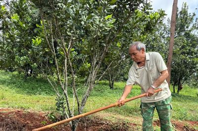 Già làng Điểu Pliu làm gương trong chuyển đổi cây trồng