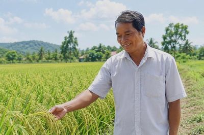 Tiên phong phát triển lúa hữu cơ ở Đồng Me