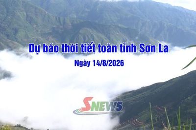 Dự báo thời tiết toàn tỉnh Sơn La ngày 14/8/2026