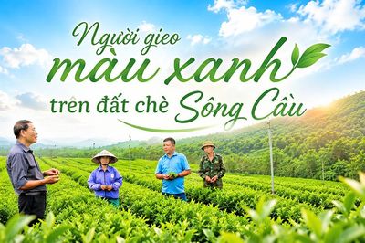 Gieo màu xanh trên đất Sông Cầu