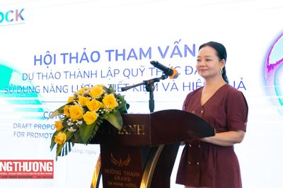 Hoàn thiện mô hình Quỹ Thúc đẩy sử dụng năng lượng tiết kiệm và hiệu quả