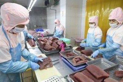 EU cảnh báo thực phẩm Việt Nam: Doanh nghiệp cần siết kiểm soát an toàn thực phẩm