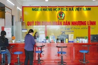 Thông tư mới quy định loạt ngưỡng an toàn với quỹ tín dụng nhân dân từ ngày 1/11