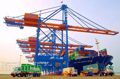 TP. Hồ Chí Minh tìm dư địa tăng trưởng xuất khẩu giữa biến động thương mại toàn cầu
