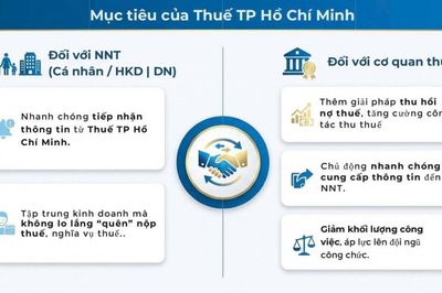 Thuế TP. Hồ Chí Minh đẩy mạnh chuyển đổi số trong quản lý nợ thuế