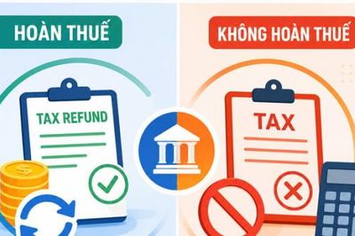 Các trường hợp hoàn thuế và không hoàn thuế