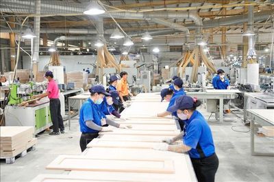 Cục Thuế chuẩn bị hỗ trợ pháp lý cho doanh nghiệp nhỏ và vừa năm 2026