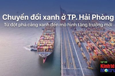 Chuyển đổi xanh ở Hải Phòng: Từ đột phá cảng xanh đến mô hình tăng trưởng mới