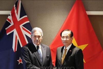 Hội nghị Bộ trưởng Ngoại giao Việt Nam - New Zealand lần thứ 4