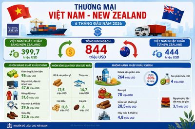 Xuất nhập khẩu Việt Nam - New Zealand: Nhiều mặt hàng tăng trưởng mạnh