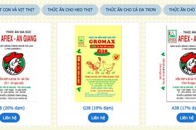 Xuất nhập khẩu Nông sản Thực phẩm An Giang (AFX) miễn nhiệm một Phó Tổng giám đốc