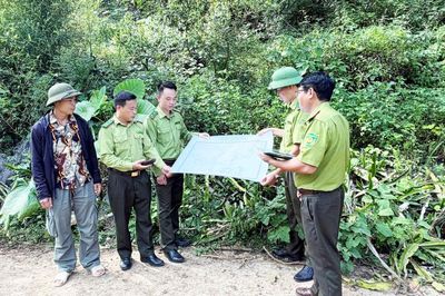 Nâng cao hiệu quả quản lý, bảo vệ rừng cộng đồng