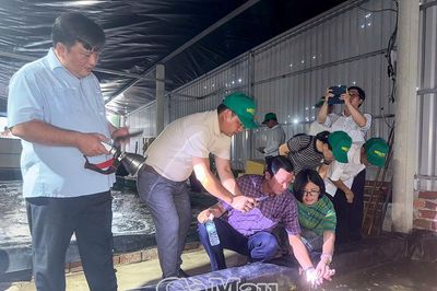 Hội Nông dân Vĩnh Long tham quan, học tập mô hình kinh tế hiệu quả tại Cà Mau