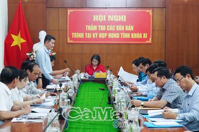 Rà soát, hoàn thiện các nghị quyết về phân bổ nguồn lực