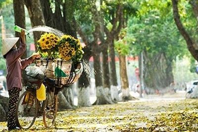 Đừng vội tìm thực phẩm 'đại bổ' mùa thu: Chuyên gia gợi ý 4 món dân dã vừa ngon vừa dễ ăn khi thời tiết chuyển mùa