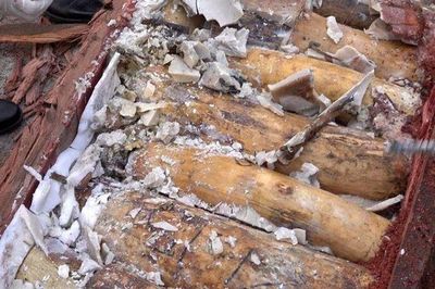 Phát hiện gần 1,2 tấn ngà voi giấu trong gỗ từ châu Phi về Việt Nam, chuyển cơ quan điều tra xử lý theo thẩm quyền