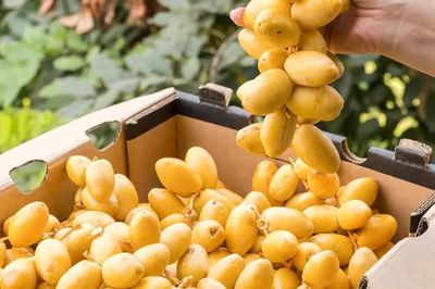 5 nhóm người nên ăn chà là thường xuyên, vừa ngon vừa bổ sung nhiều dưỡng chất