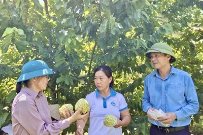 Người phụ nữ năng động làm giàu chính đáng trên mảnh đất quê hương
