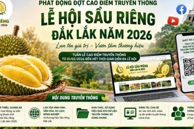 Đắk Lắk phát động cao điểm truyền thông Lễ hội Sầu riêng 2026