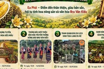Ea Phê tổ chức các chuỗi hoạt động văn hóa hưởng ứng Lễ hội Sầu riêng Đắk Lắk năm 2026