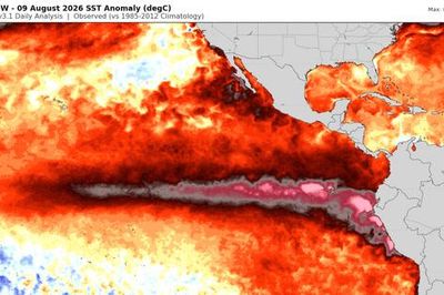 Cảnh báo El Niño mạnh lên bất thường trong năm 2026
