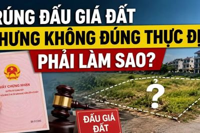 Trúng đấu giá đất nhưng thực địa không khớp hồ sơ, người mua phải làm gì?