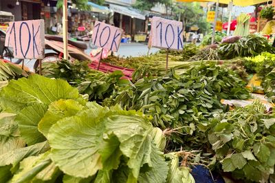 Rau đồng giá 10.000 đồng/kg ở chợ TP.HCM, thịt heo cũng giảm mạnh