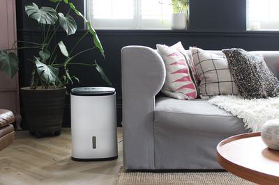 Vì sao bật máy hút ẩm cả ngày nhưng phòng vẫn ướt?