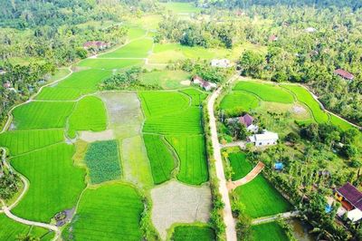 Lộc Yên chuẩn bị mở hội làng, mời du khách về miền hạnh phúc