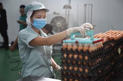 Bài 2: Mở rộng mô hình sản xuất theo chuỗi khép kín