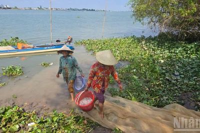 Kỳ lạ loài cá ngựa sông