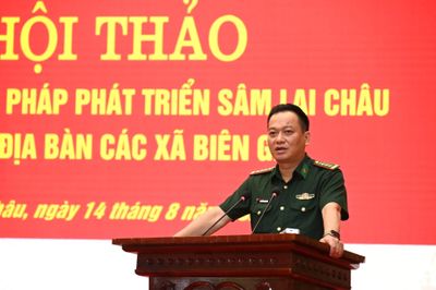 Đẩy mạnh phát triển sâm Lai Châu tại các xã biên giới