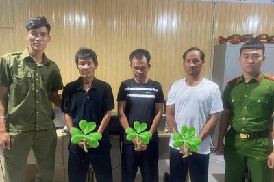 U55 vẫn mê… tiên nâu!