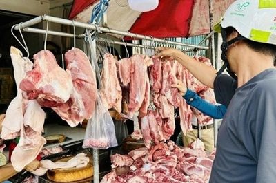 Giá heo hơi hôm nay 14/8: Xu hướng giảm bao trùm 3 miền, dao động trong khoảng 57.000 - 59.000 đồng/kg