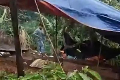 Hiệu trưởng nói gì về nghi phạm sát hại nữ nhân viên thư viện?