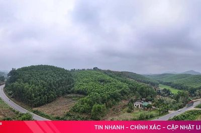 Thêm một nhà máy chế biến lâm sản được chấp thuận đầu tư tại Hà Tĩnh
