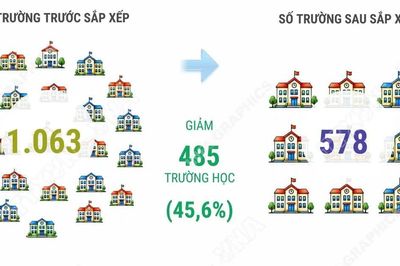 Tuyên Quang giảm 45,6% số cơ sở giáo dục công lập sau sắp xếp