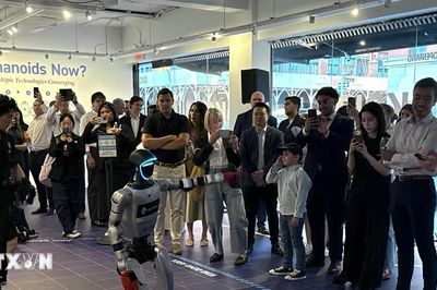 Mỹ đối mặt nhiều trở ngại trong cuộc đua sản xuất robot hình người