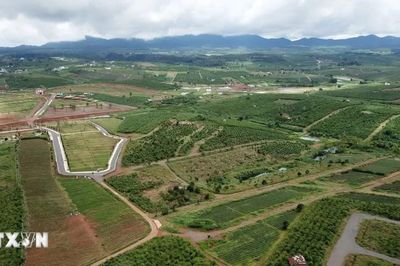 Lâm Đồng ban hành quy định mới về tách thửa, đất nông nghiệp được xây dựng công trình