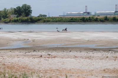 Sông Danube cạn nước, Romania đóng nhà máy hạt nhân duy nhất, Hungary xây đập ứng phó