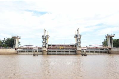 Vận hành đóng 2 cống Tha La và Trà Sư kiểm soát lũ vùng Tứ Giác Long Xuyên
