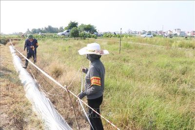 Hải Phòng: Cưỡng chế, thu hồi gần 3.000 m2 đất để xây dựng khu dân cư mới