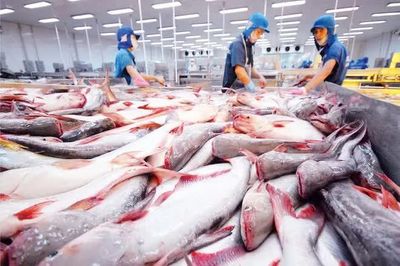 Thuế CBPG cá tra Việt Nam tại Mỹ tăng sốc